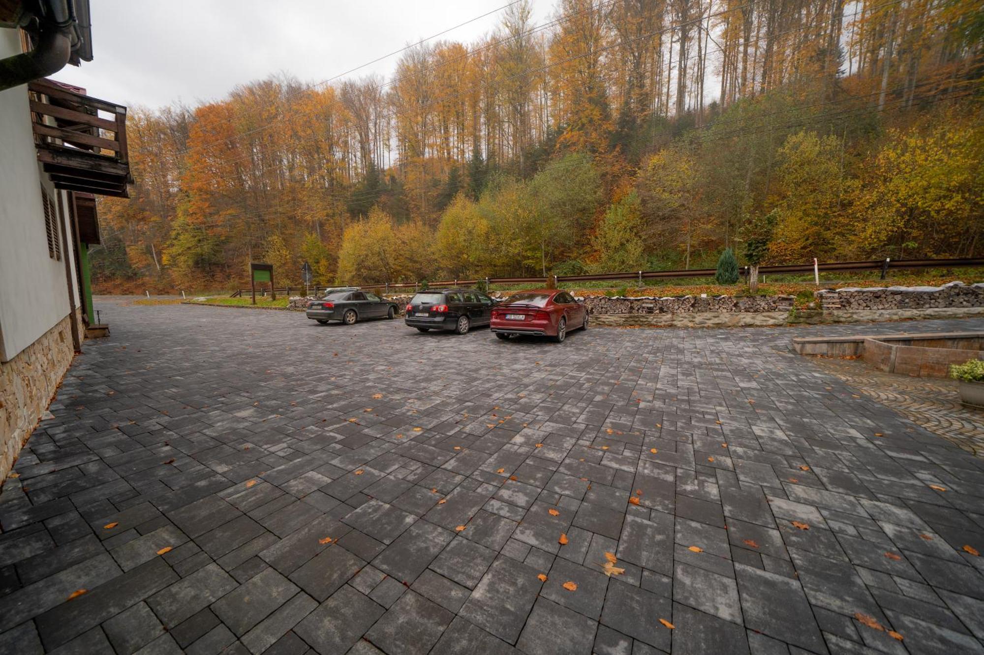 فندق Popas Turistic Transfagarasan Cîrţişoara المظهر الخارجي الصورة